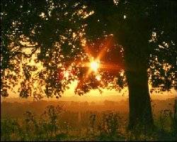 The Most Hope-inspiring Verses in the Quran